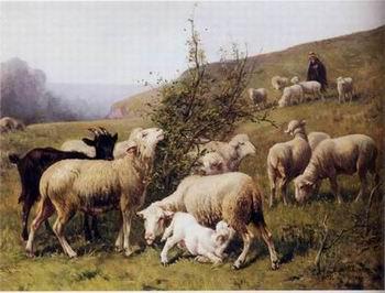 unknow artist Sheep 165